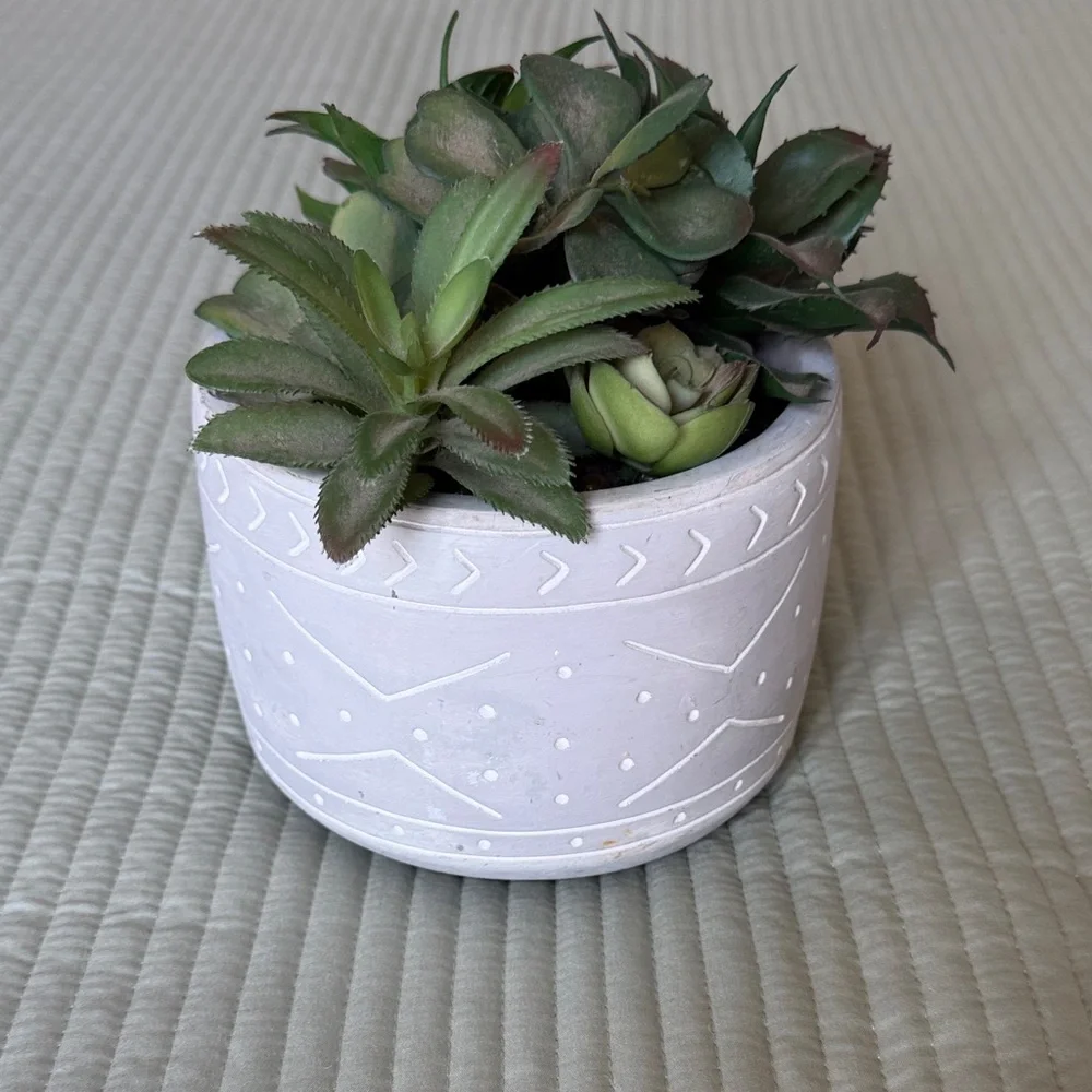 White Decorative Ceramic Planter with Green Succulent